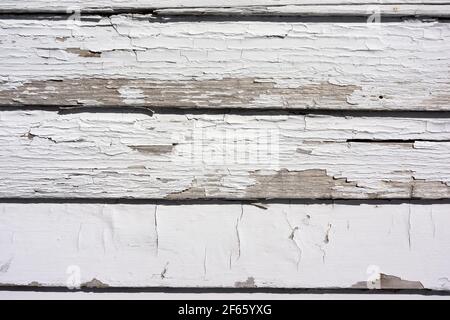 Badly worn paint on wood siding showing peeling and cracking in the morning light. Stock Photo