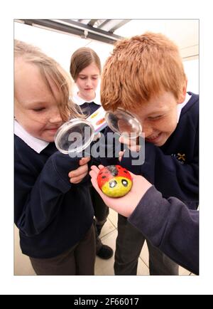 Howe Dell primary school in Hatfield school is rated by Ofsted as outstanding and eco-friendly. head is Debra Masseyphotograph by David Sandison The Independent Stock Photo