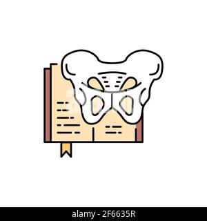 Osteology color line icon. Pictogram for web page, mobile app, promo. UI UX GUI design element. Editable stroke. Stock Vector