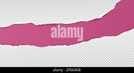 Violet Ripped Paper Violet torn paper strips. Vector EPS10 illustration. Design elements ...