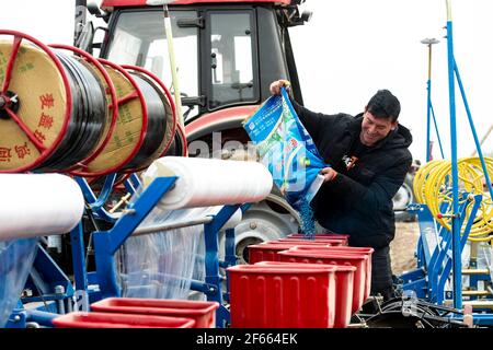 (210330) -- KASHGAR, March 30, 2021 (Xinhua) -- Abdusali Awut, a farmer, pours cotton seeds into a seeding machine in Shache County, northwest China's Xinjiang Uygur Autonomous Region, March 26, 2021. In Xinjiang, cotton spring sowing kicks off from irrigation areas. The peak period of cotton sowing comes in early April in the southern areas, while that in the northern part of the region starts a few days later. Compared with the laborious work in the old days, cotton farming has now become far more efficient and environment-friendly thanks to modern irrigation technologies and agricultural me Stock Photo