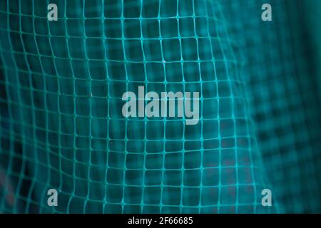 green grid background. geometrically distorted texture grid.  Stock Photo