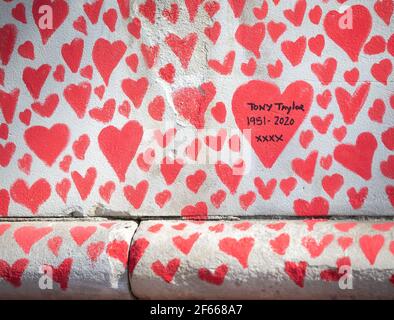 London, UK. 30th Mar, 2021. Hearts are drawn onto the Covid Memorial Wall on the South Bank, opposite the Houses of Parliament. The volunteers are drawing one heart for each of the 145,000 people who have died so far from the Coronavirus in the UK. Credit: Mark Thomas/Alamy Live News Stock Photo