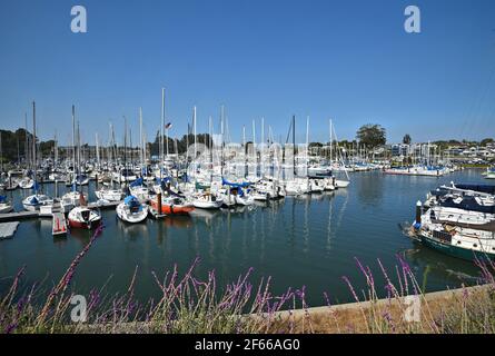 Santa Cruz Yacht Club at Santa Cruz harbor Santa Cruz California