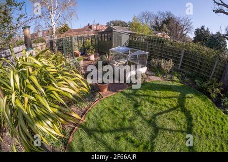 Suburban London garden comes to life under blue sky in warm spring weather on 30 March 2021 Stock Photo