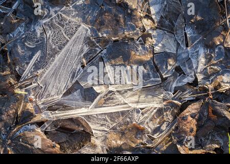 Shattered Ice on Muddy Soil Stock Photo