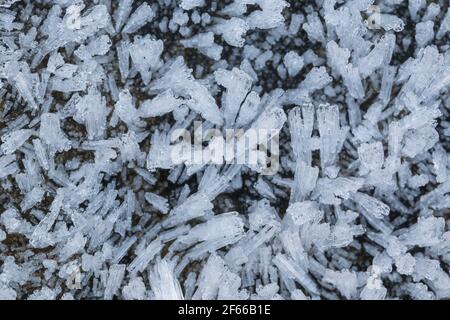 White Snow Crystals Close up Stock Photo
