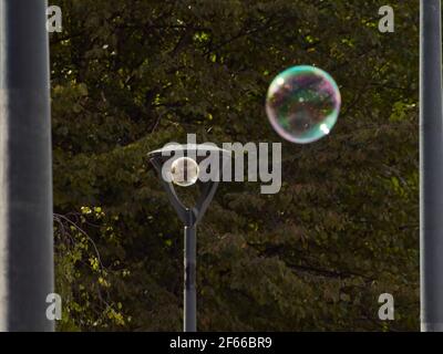 Light, peaceful image of a pair of iridescent, shimmering soap bubbles rising into the summer sky, against a background of trees and street lights. Stock Photo
