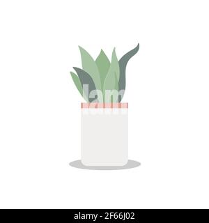 Home plant Vector icon isolated on white backdrop Stock Vector