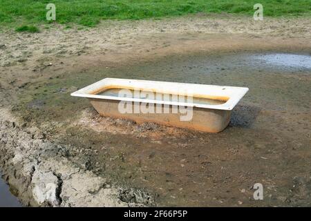 Old bathtub that stands in a field and serves as a drinking trough for feeding grazing animals Stock Photo