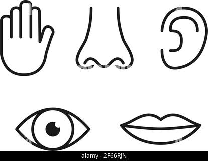 Outline icon set of five human senses: vision (eye), smell (nose), hearing (ear), touch (hand), taste (mouth with tongue). Stock Vector