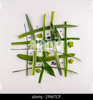Creative net layout made of violets and leaves on the white background. Square. Minimalist spring concept. Flat lay Stock Photo