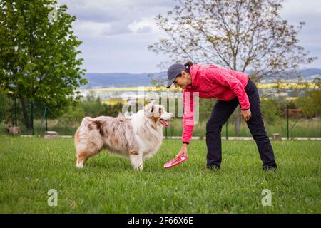 Woman and her dog enjoying training outdoors. Pet owner playing with her Australian Shepherd Stock Photo