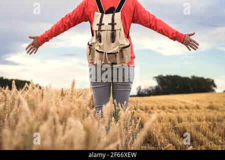 Woman with stretching arms is standing in wheat field. Tourist with backpack enjoying trip in nature at summer Stock Photo