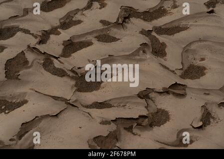 Rippled golden brown desert sand Texture, background from Sossusvlei Stock Photo
