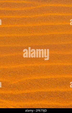 Rippled golden brown desert sand Texture, background from Sossusvlei Stock Photo