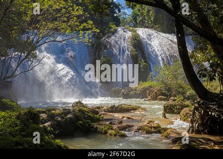 Cascadas de Agua Azul, series of waterfalls on the Xanil River near the towns Chilón and Tumbalá, Chiapas, southern Mexico Stock Photo