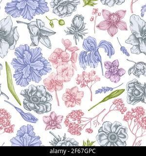 Seamless pattern with hand drawn pastel anemone, lavender, rosemary everlasting, phalaenopsis, lily, iris Stock Vector