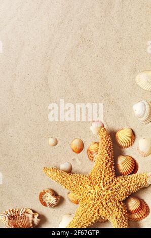 Starfish and seashells on the sandy beach. Summer background. Stock Photo