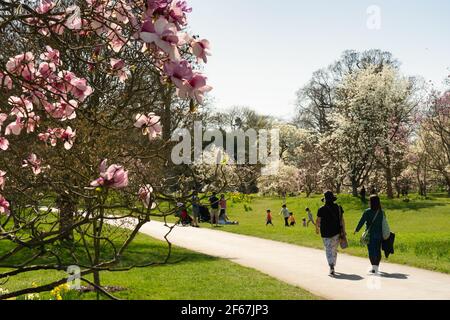London, UK. 30th March, 2021. Kew Gardens in London was the hottest place in the UK on the hottest March day in 53 years in London. Photo: Roger Garfield/Alamy Live News