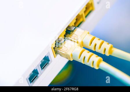 Two network cables connected to the hub. Stock Photo