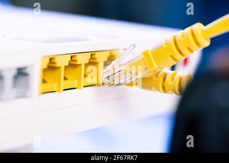 Two network cables connected to the hub. Stock Photo