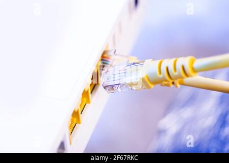 Two network cables connected to the hub. Stock Photo