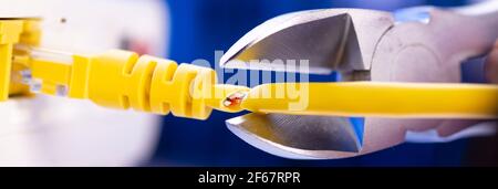 A cutter for cutting a network cable cuts a cable close-up. Stock Photo