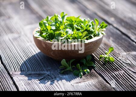 Corn salad on a round wooden plate Stock Photo