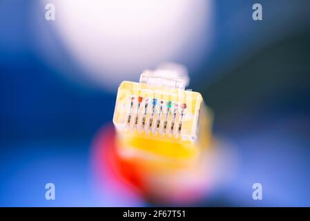 Network cable for connection to the hub. Stock Photo