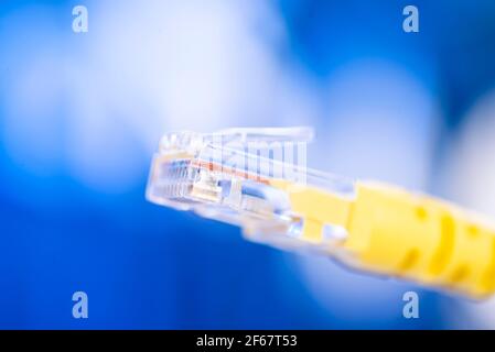 Network cable for connection to the hub. Stock Photo