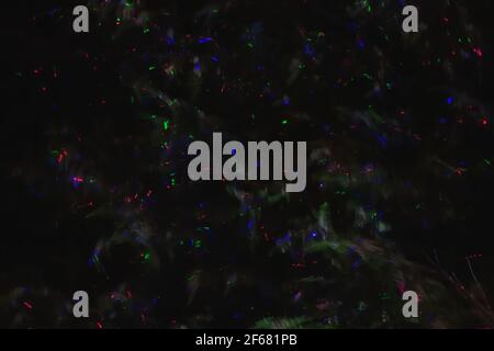 Colourful Lights Projected onto Plants at Night, Mysterious Abstract Background Stock Photo