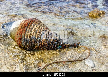 A broken-off sea buoy, overgrown with shells, lies on the shore. Stock Photo