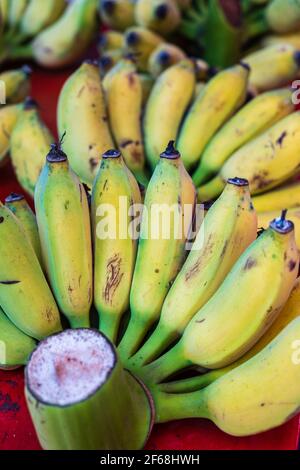 Bunch Of Ripened Organic Bananas At Farmers Market, Thailand Stock Photo,  Picture and Royalty Free Image. Image 88646214.