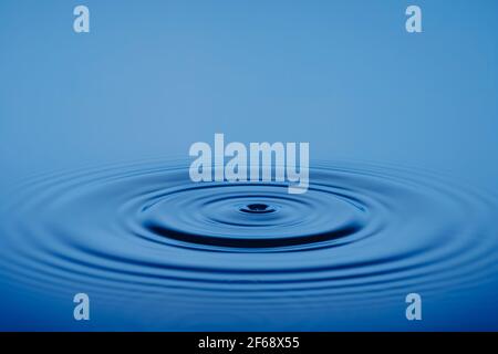 Closeup Water drop or splash falling on the surface of the water and beautiful circular wave ripple, water concept, with blue background Stock Photo