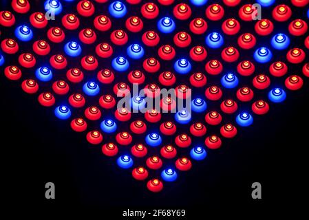 An abstract background made of red and blue led with white dots and black back. Stock Photo