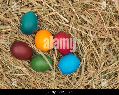 Easter eggs in the hay close-up. Organic food. Stock Photo