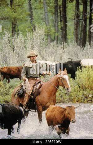 Kevin Costner, 'Open Range' (2003). Photo Credit: Chris Large/Buena Vista Pictures/THA. File Reference # 34082-1429THA Stock Photo