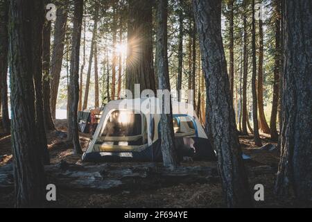 Sun Peeks Through a Campsite at Dawn Stock Photo