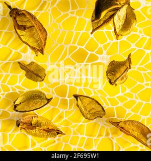 Top down view on mesh with dry leaves over the yellow background Stock Photo