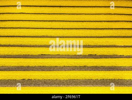 Thermal insulation fiberglass material in new house wooden walls Stock ...