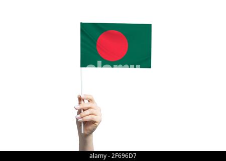 Beautiful female hand holding Bangladesh flag, isolated on white background. Stock Photo