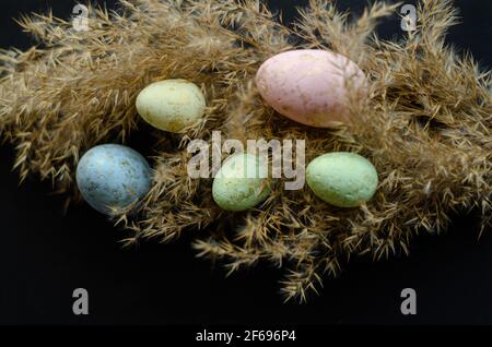 colored eggs on a branch on a black background, free space Stock Photo