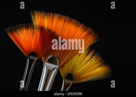 Three fan shaped paintbrushes. Artistic flat fan brushes with orange hairs for watercolor or acrylic painting on black background. Stock Photo