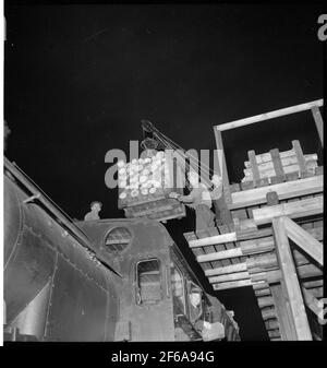 Loading wood on a steam locomotive Stock Photo - Alamy