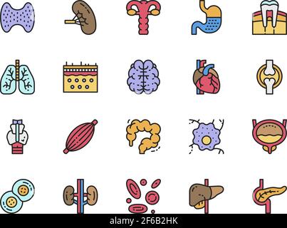 Set of Human Organs Flat Color Icons. Spleen, Stomach, Lungs, Heart and more. Stock Vector