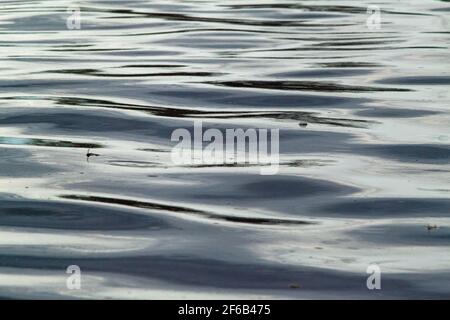 Patterns, shapes, created, formed, forming, evolving, from continuous, continuing, falling raindrops on a flowing river surface. Highlight, highlights Stock Photo