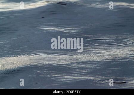 Patterns, shapes, created, formed, forming, evolving, from continuous, continuing, falling raindrops on a flowing river surface. Highlight, highlights Stock Photo
