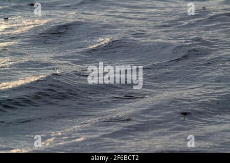 Patterns, shapes, created, formed, forming, evolving, from continuous, continuing, falling raindrops on a flowing river surface. Highlight, highlights Stock Photo