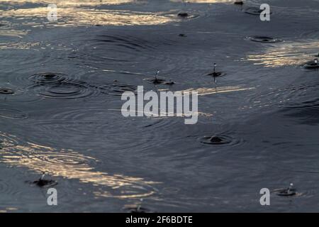 Patterns, shapes, created, formed, forming, evolving, from continuous, continuing, falling raindrops on a flowing river surface. Highlight, highlights Stock Photo